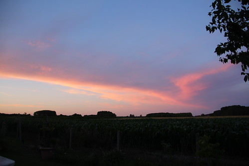 IMG_1262 by PURÊN MICHEL 49, ciel