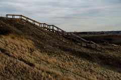 Coulee Stairs