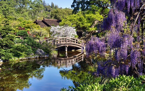 Spring is here in full bloom | Thank you for visiting - wi… | Flickr