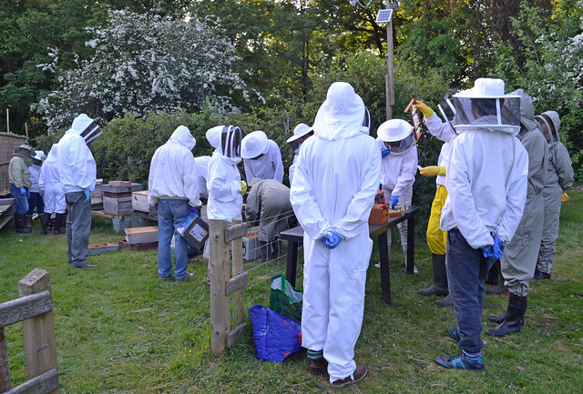 Belfast Beekeepers buzzing