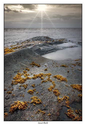 sargasses algues roches rochers côte rivage mer océan paysage dorure ciel nuages soleil rayons guyane kourou