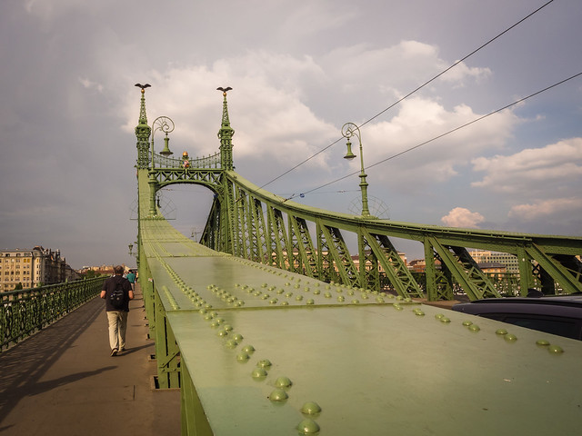The Liberty Bridge (Szabadság híd) in Budapest