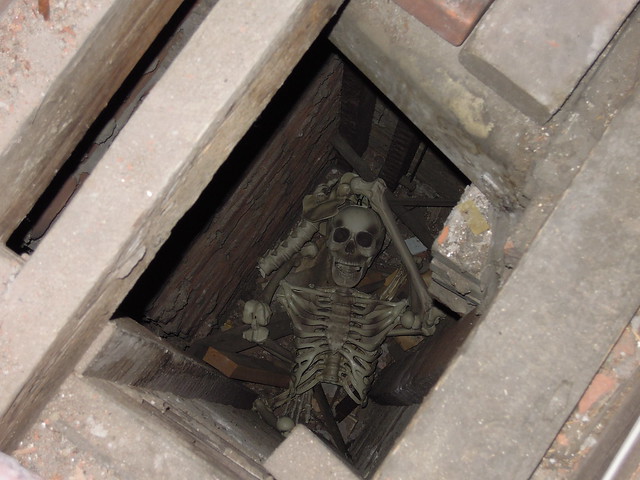My son and I have been insulating the attic in my mom's old house built in 1908. When we opened a creaky wooden hatch cover near the fireplace chimney, we were quite surprised to find a long-term undocumented resident.  April 2018