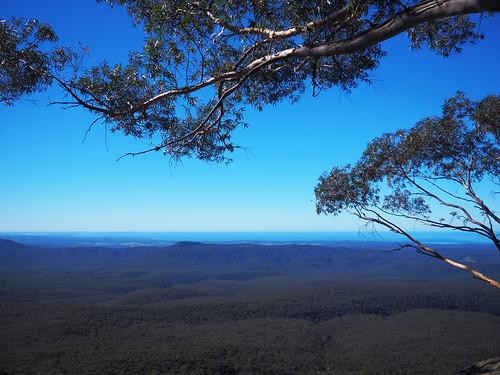 kaptainkobold pigeonhouse mountain view nsw australia scenery trees sea ocean landscape