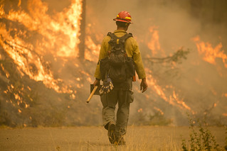 Firefighter, Umpqua National Forest Fires, 2017 | by Forest Service Pacific Northwest Region