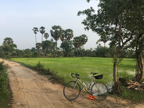 cambodia kingdomofcambodia bicycle cycling kocmo singlespeed kandal kandalprovince កណ្ដាល kandalstuengdistrict kandalstueng roluoscommune roluos slaengkong sugarpalm ricefield rice paddy