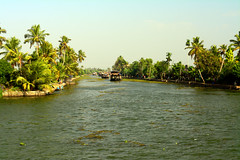 Alleppey: The Great Backwaters