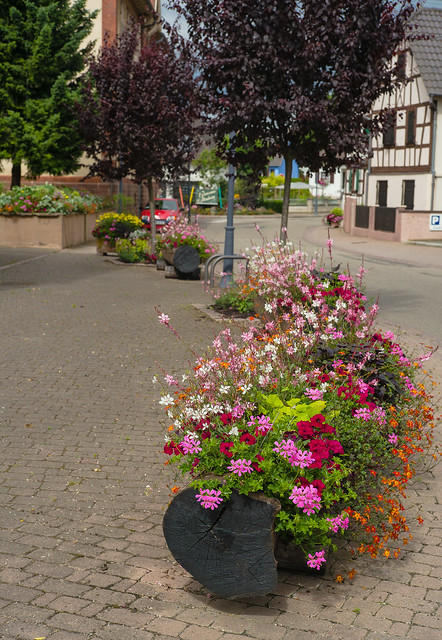 Alsace, un village fleuri près de Strasbourg