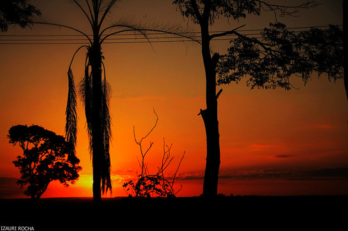 IMG_3340 | by izaurirocha@yahoo.com.br