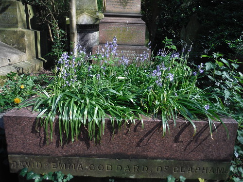 Bluebells on Grave (Nunhead Cemetery) SWC Short Walk 41 - Nunhead, Honor Oak and Peckham Rye