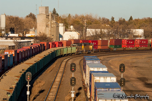 business canon capture cargo cheyenne commerce digital eos engine freight haul horsepower ig3ta landscape locomotive logistics mjscanlon mjscanlonphotography merchandise mojo move mover moving outdoor outdoors photo photograph photographer photography picture rail railfan railfanning railroad railway sd402 scanlon signal sky steelwheels super track train trains transport transportation tree up up3133 upcheyenneyard upig3ta upwcygib unionpacific unittrain wcygib wow wyoming ©mjscanlon ©mjscanlonphotography wcygi