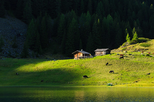 schladming steiermark austria styria lake duisitzkarsee duisitzkar pasture cow hut mountains alps alpine austrian afternoon