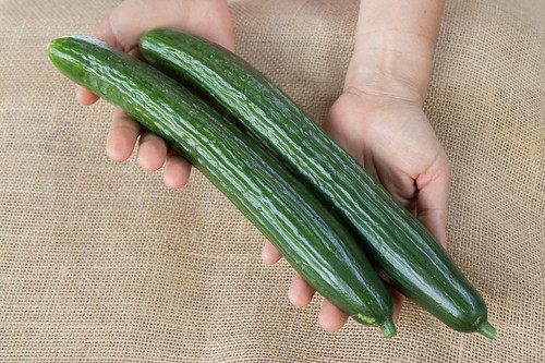 cucumber-tyria