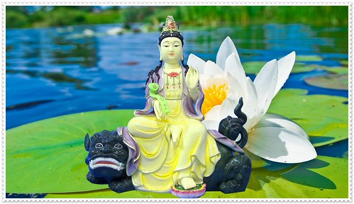 pragtige buddha jongste gratis aflaai | by hoangduongphatphap