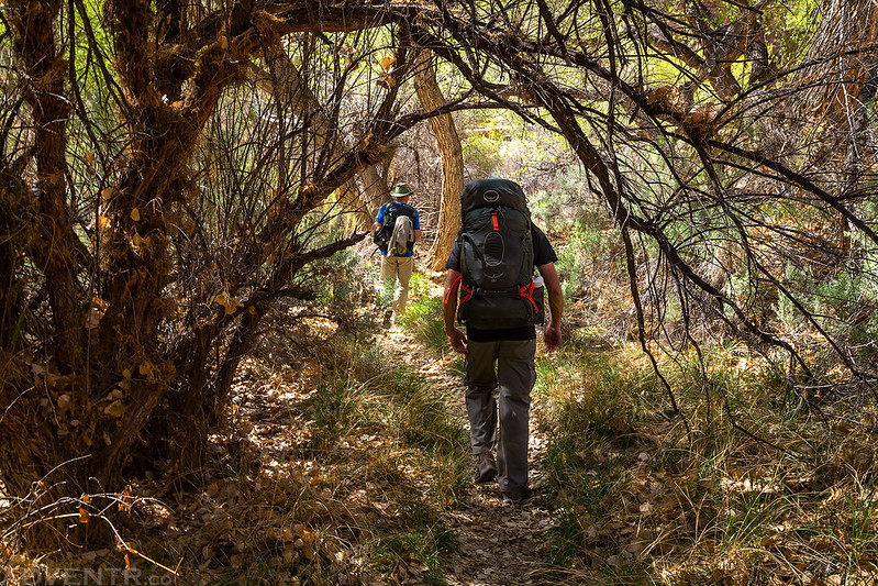 Trail Canopy