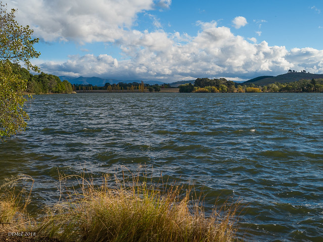 Lake Burley Griffin on a windy day