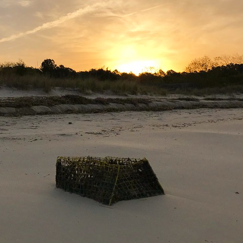 beach chesapeakebaylife water sand shore sunrise crabpot