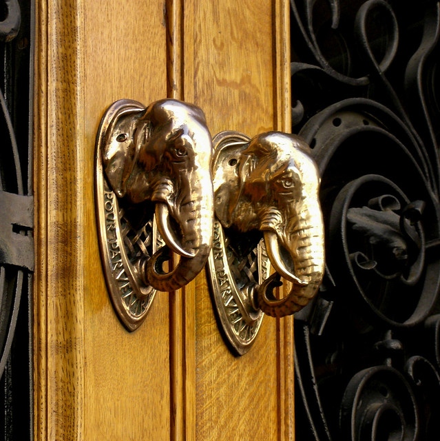 elephantine knockers
