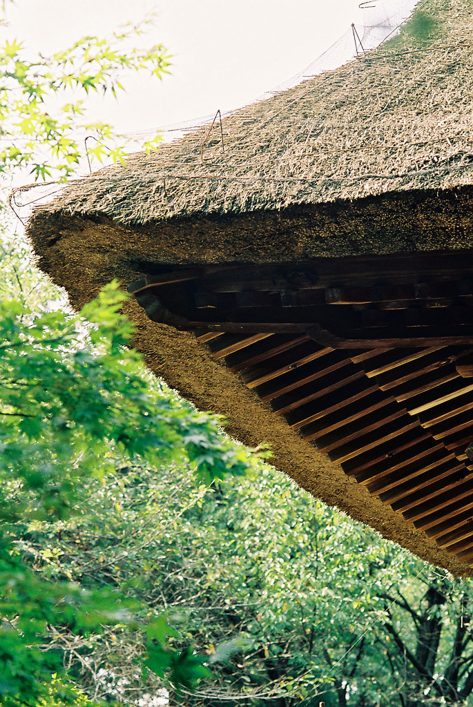 thatched roof