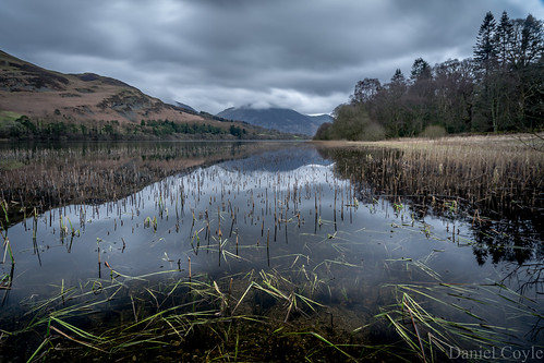 grasmoorfromloweswater loweswater grasmoor lake lakedistrict cumbria uk england danielcoyle nikon nikond7100 d7100 reflections longexposure reeds nationaltrust countryside landscape view trees mountains hills fells natural nature