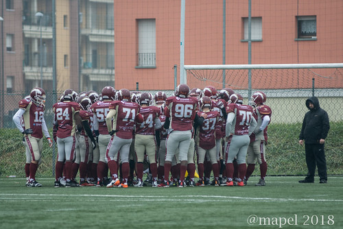 vip_hogs_-1 | by Manuela Pellegrini