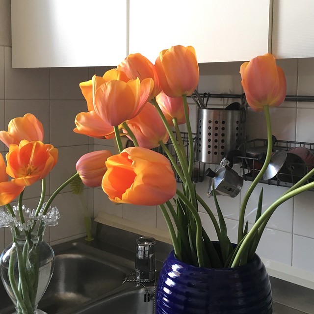 Tulipani e caffè