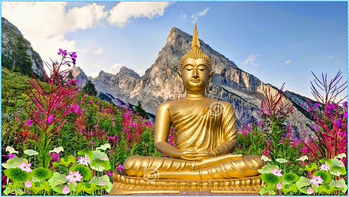 vakre høy kvalitet buddhistiske bilder gratis nedlasting | by hoangduongphatphap