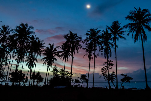 dusk evening taman jaya sunset moon palm trees silhouette indonesia ujung kulon sumur banten