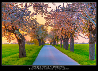 Country Road in Spring - Upper Lusatia