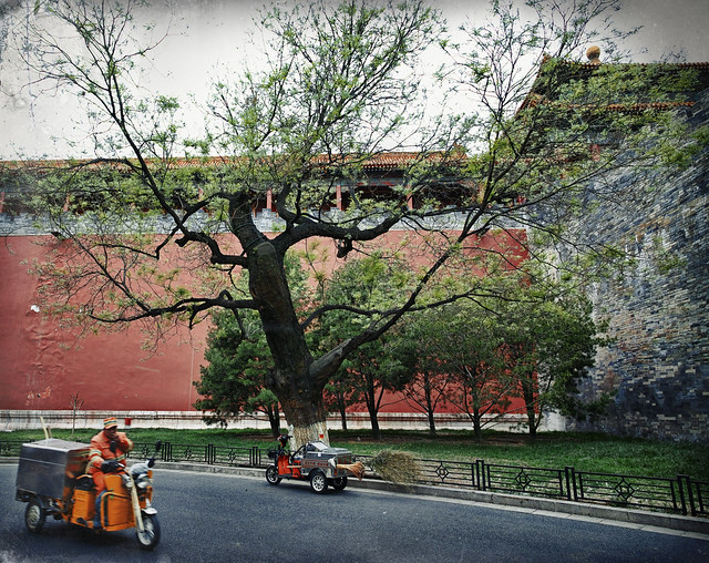 Tree, walls and scooters