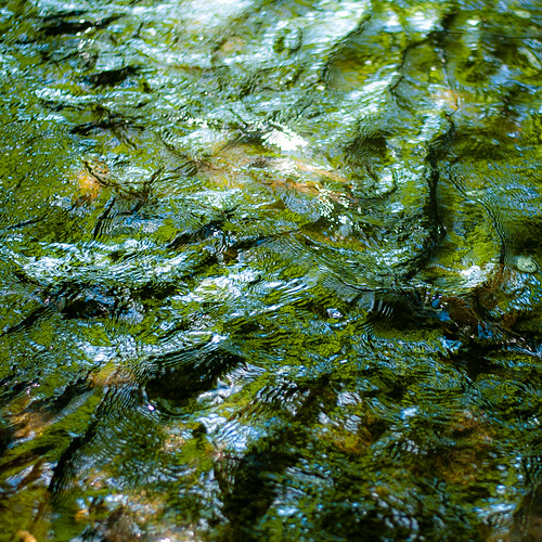 d5000 dof nikon sawmillcreek waterfallglencountyforestpreserve abstract blur creek depthoffield forest landscape light natural noahbw reflection ripples shadow square summer sunlight water woods