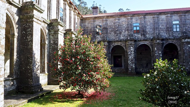Claustro del Monasterio de Armenteira.