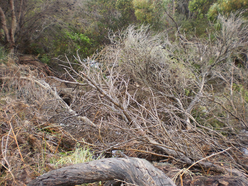 P1140043