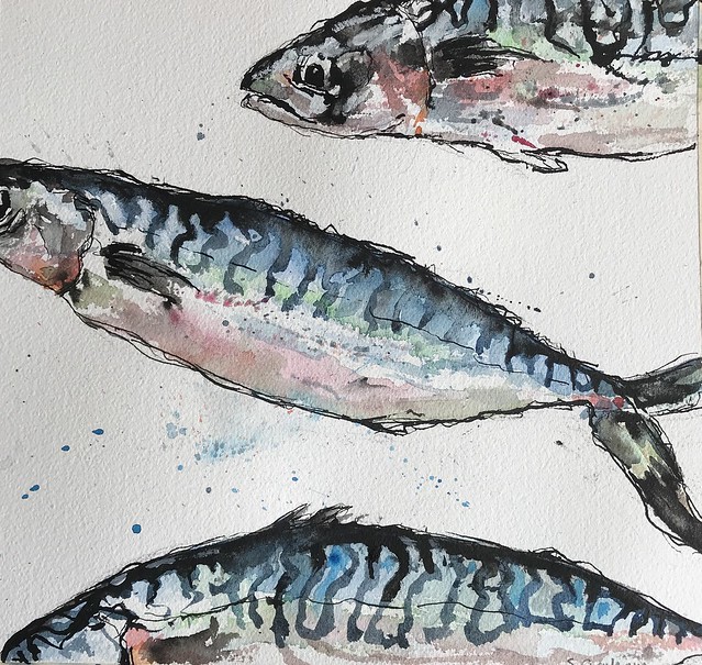 Mackerel - Watercolour, pen and ink on Arches 140lb paper
