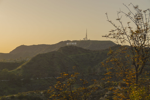 Sunset Hike in Hollywood