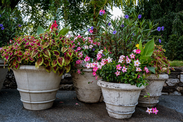 Longwood Gardens - Garden Flowerpots