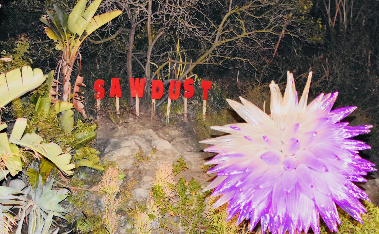 Sawdust Preview Night