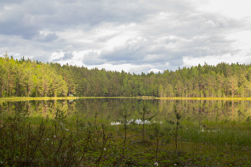 makkarajärvi järvi lake hervanta tampere suomi finland europe maisema landscape waterscape reflection heijastus tyyni metsä forest retki retkeily luonto nature