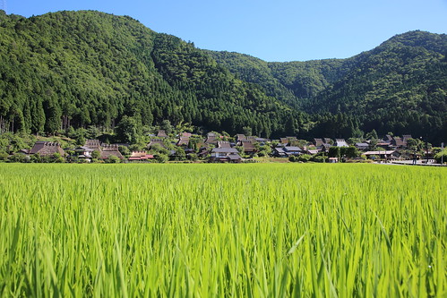architecture building house construction tradition wooden japan kyoto countryside miyama 風景 landscape ricefields 水田 稲 summer 夏 美山 京都 日本 伝統家屋 建築 屋根 茅葺き field grass tree mountain 田舎
