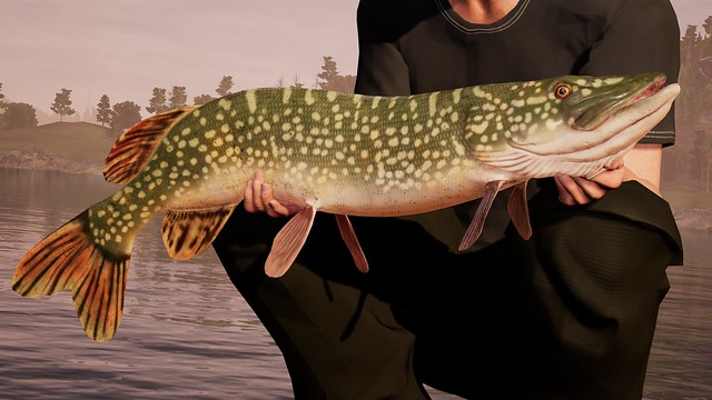 Fishing Sim World Screen 4