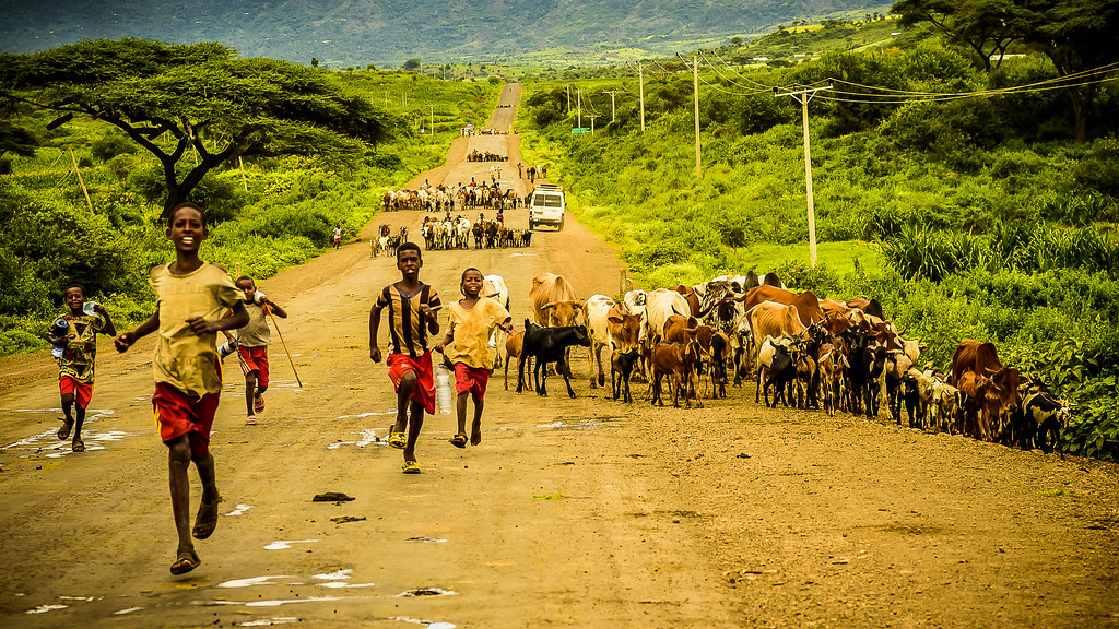 Tráfico intenso, Ethiopia (día 5)