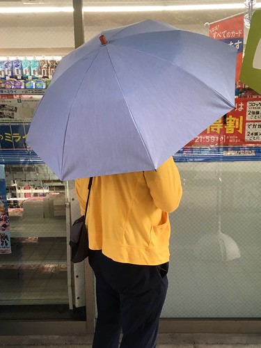 あまりの暑さに日傘を導入