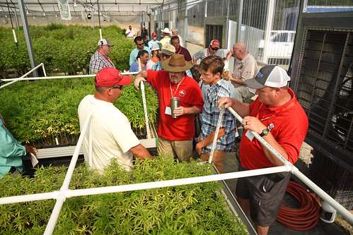 Broadway Hemp's Ryan Patterson (left) chats with extension agents and directors during a tour of the Harnett County hemp farm.