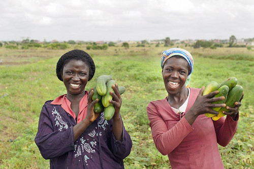 Women farmers at a Central Region Tuba Irrigation Scheme