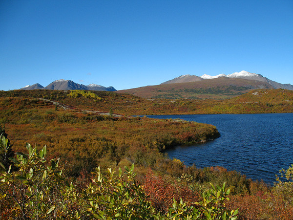 View of a portion of Tangle Lakes