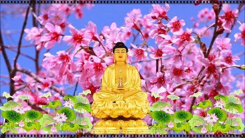 buddha indah download gratis terbaru | by hoangduongphatphap