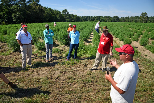 Broadway Hemp's Ryan Patterson (right) answers extension agents questions during a tour of their Harnett County hemp farm.