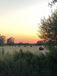 Sunset, North Meadow, Cricklade