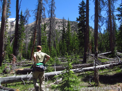 Striking off-trail to climb Mt. Agassiz in the Uinta Mountains of Utah