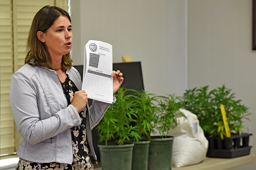Small grains extension specialist Dr. Angela Post talks about industrial hemp during a law enforcement information session at the Piedmont Research Station.